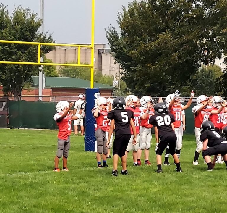 Soccer Field image 3