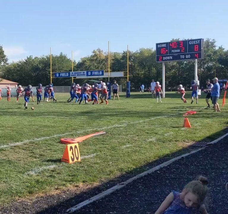 Soccer Field image 2