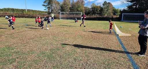 Soccer Field image 1
