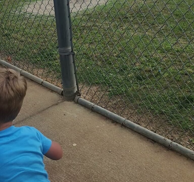 Soccer Field image 3