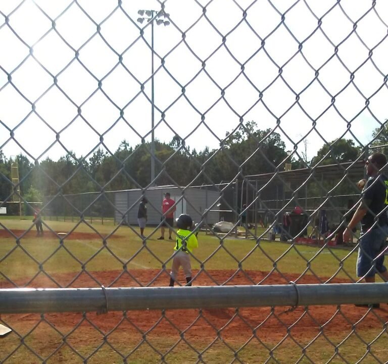 Soccer Field image 2