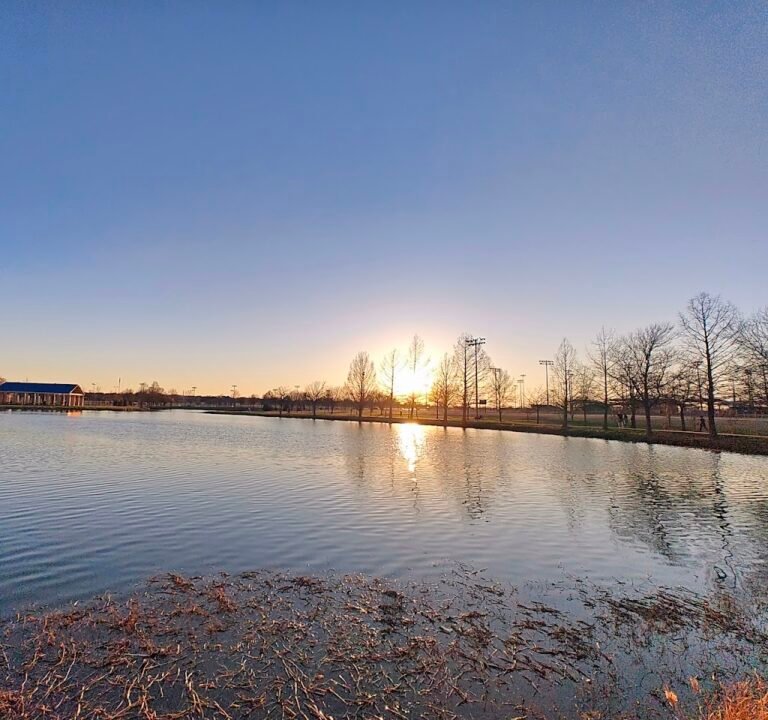 Soccer Field image 2