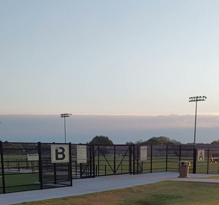 Soccer Field image 4