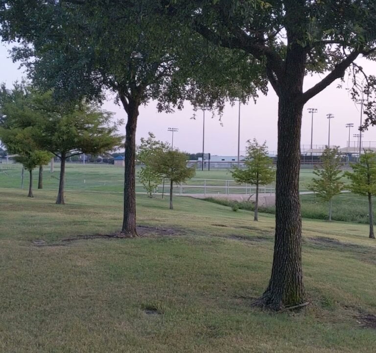 Soccer Field image 4