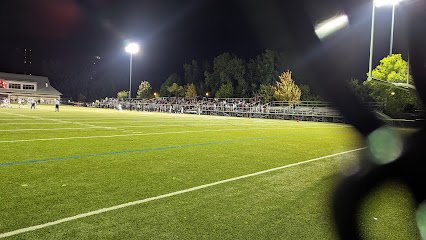 Soccer Field image 1