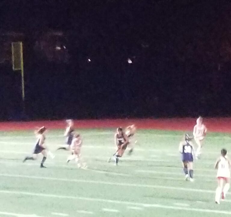 Soccer Field image 2