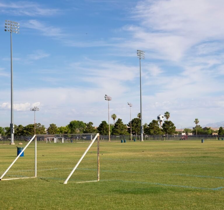 Soccer Field image 2