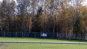 Soccer Field image 1