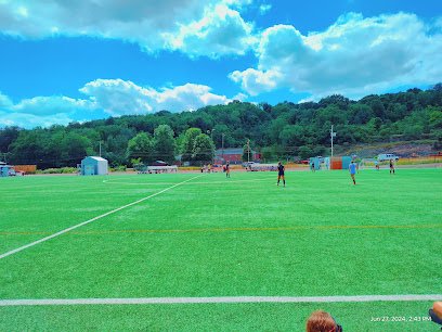 Soccer Field image 1