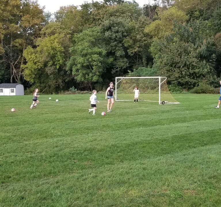 Soccer Field image 2