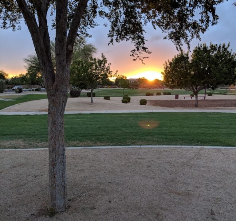 Soccer Field image 3