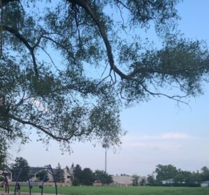 Soccer Field image 2