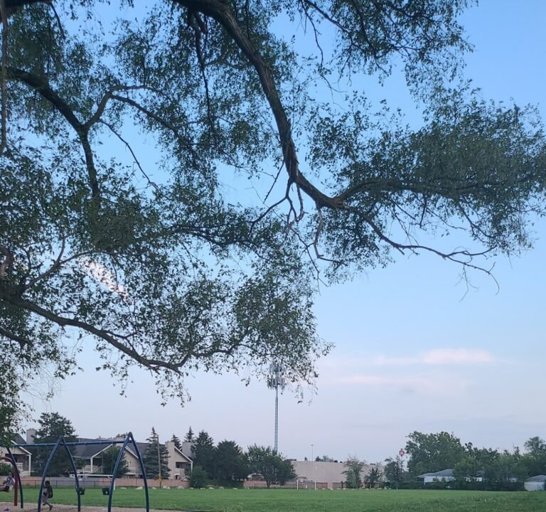 Soccer Field image 2