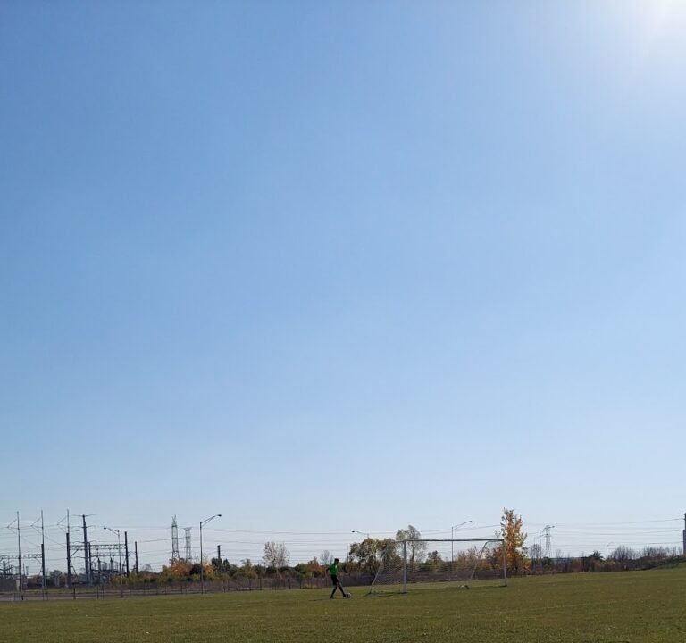 Soccer Field image 2