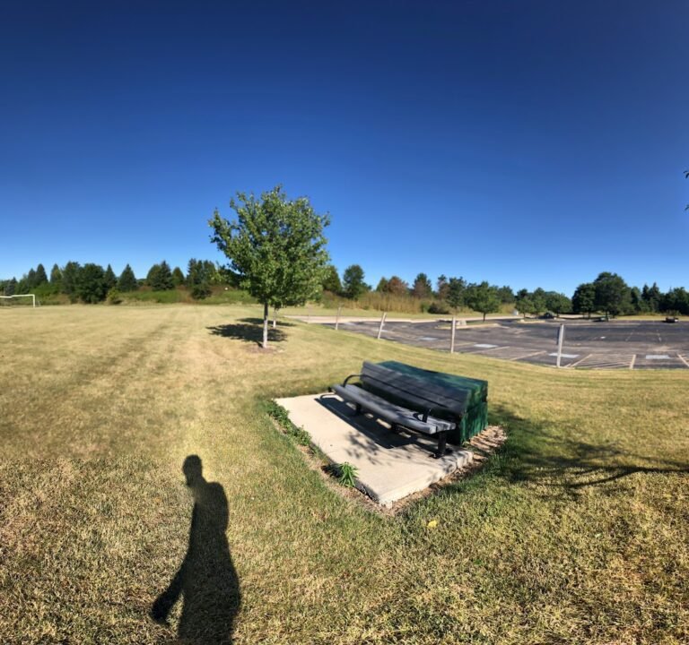 Soccer Field image 3