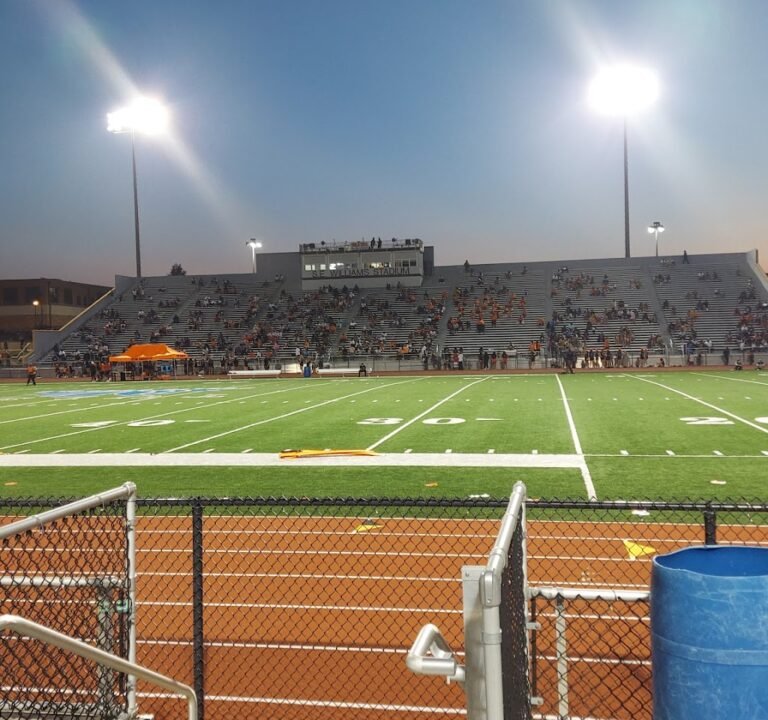 Soccer Field image 2