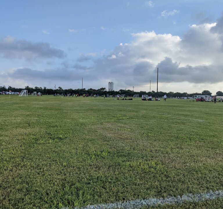 Soccer Field image 2