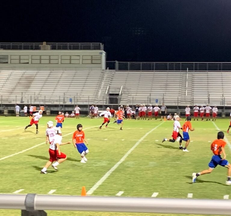 Soccer Field image 3