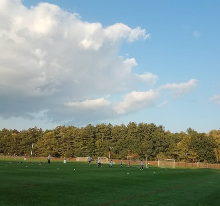 Soccer Field image 2