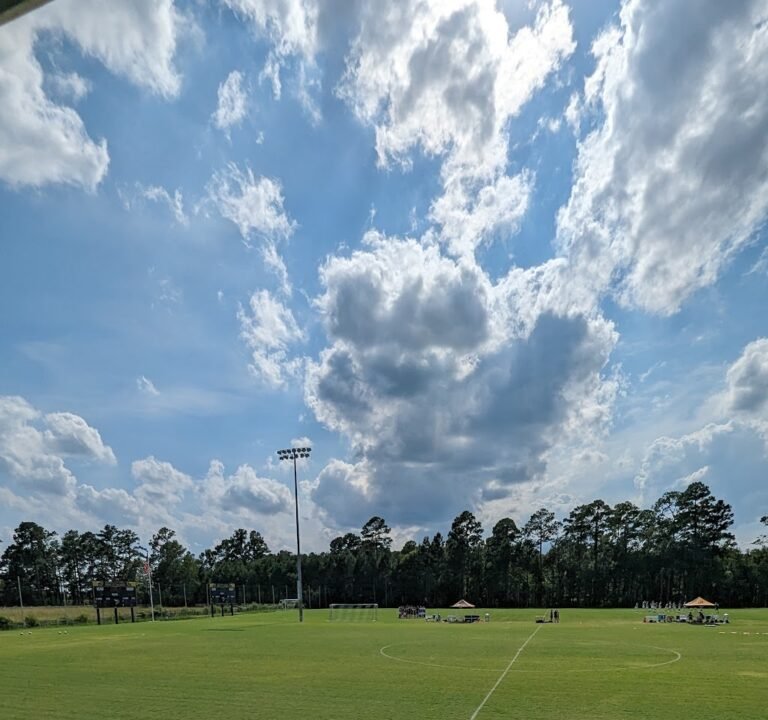 Soccer Field image 2
