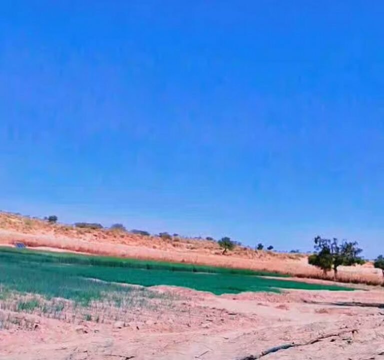 Soccer Field image 3