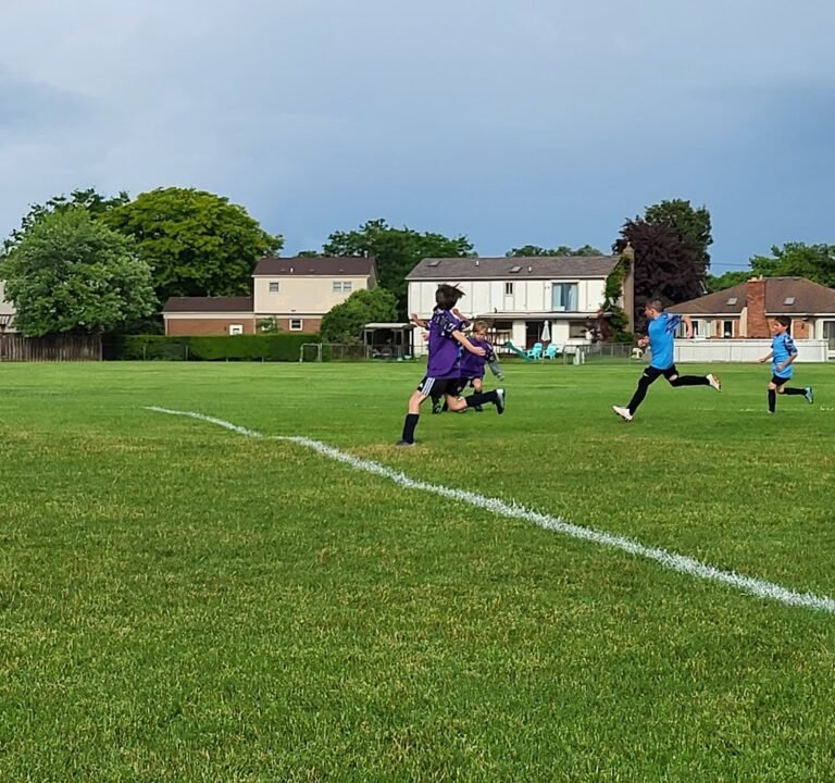 Soccer Field image 3