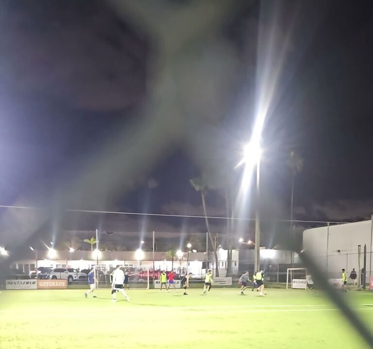 Soccer Field image 4