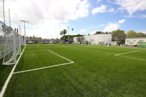 Soccer Field image 1