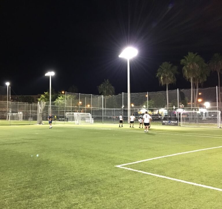 Soccer Field image 3