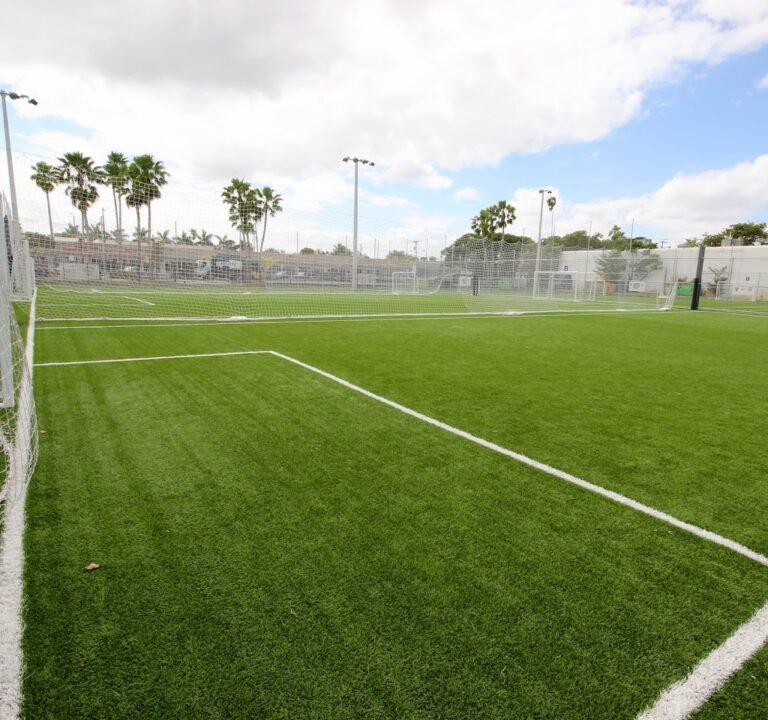Soccer Field image 2
