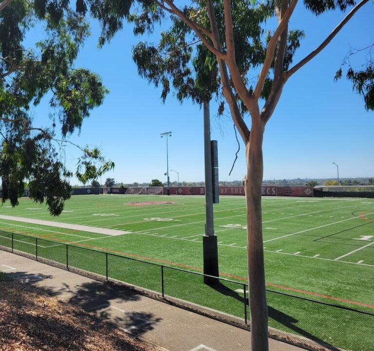 Soccer Field image 2