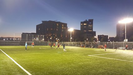Soccer Field image 1