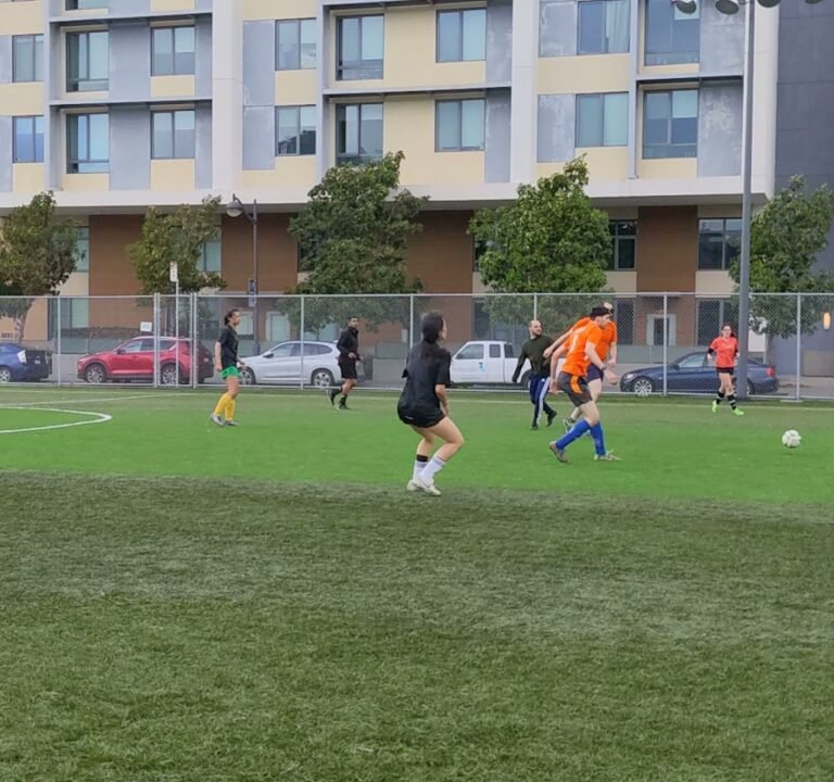 Soccer Field image 4