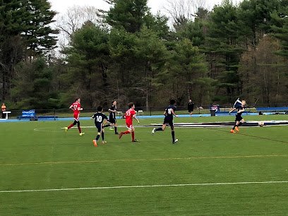 Soccer Field image 1