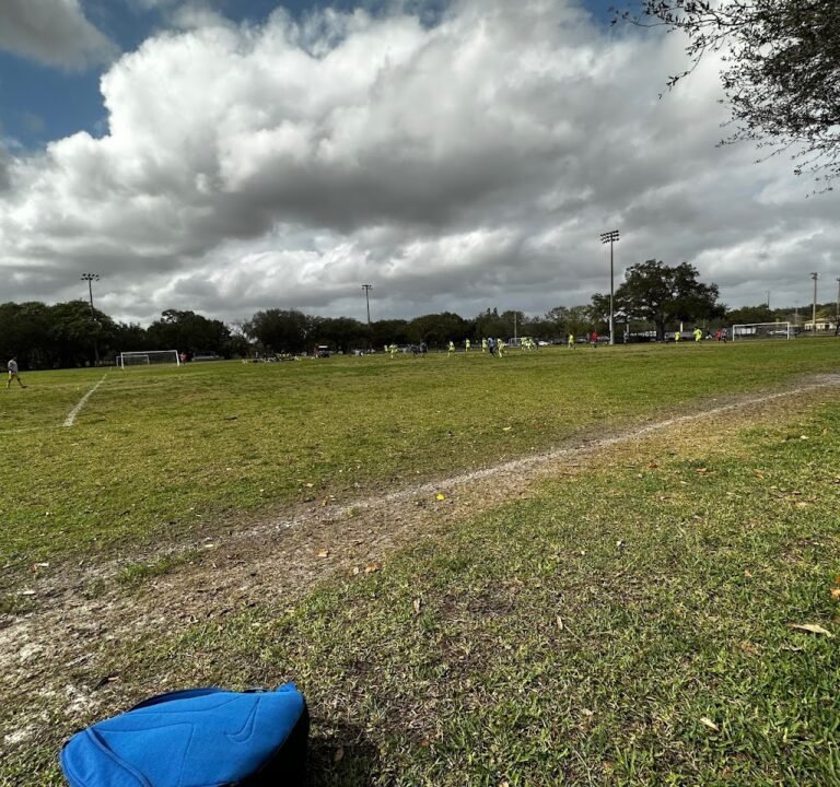Soccer Field image 2