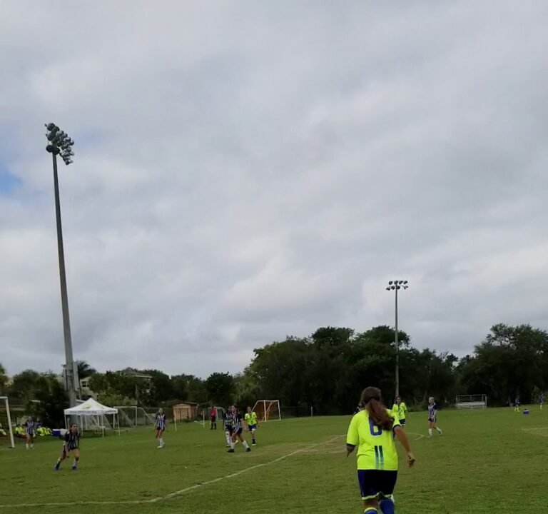 Soccer Field image 3