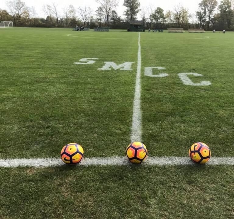 Soccer Field image 2