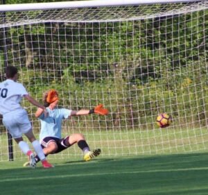 Soccer Field image 3