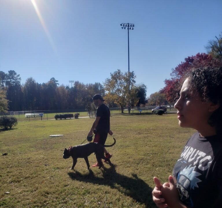 Soccer Field image 2