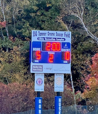 Soccer Field image 1
