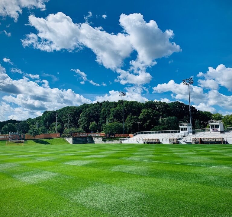 Soccer Field image 2