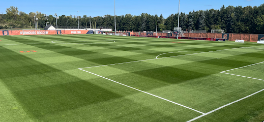 Soccer Field image 1