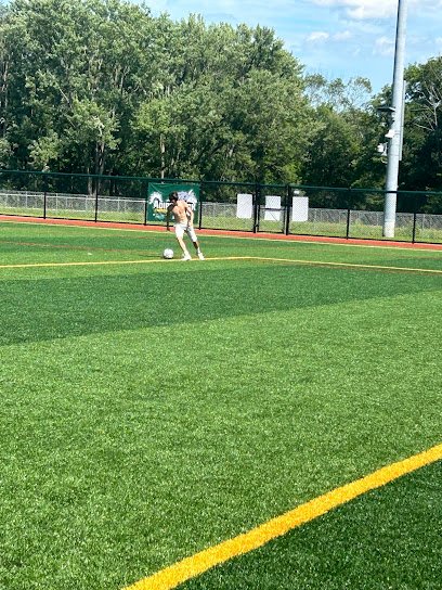 Soccer Field image 1