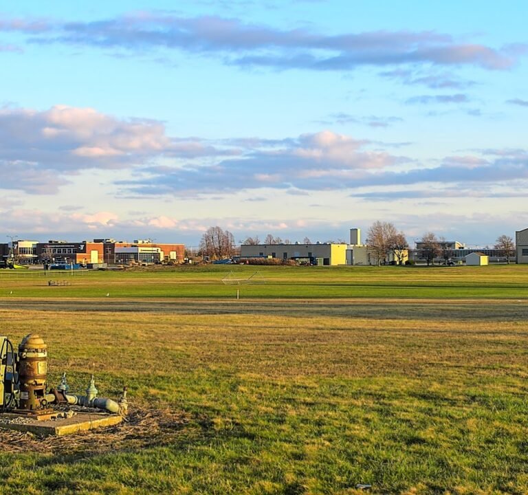 Soccer Field image 2