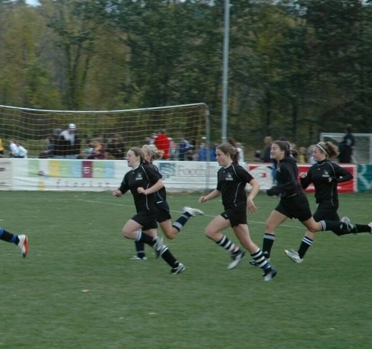 Soccer Field image 3