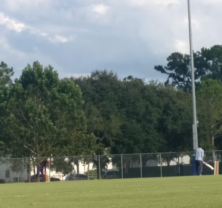 Soccer Field image 2