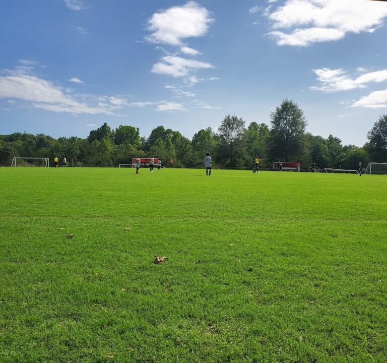 Soccer Field image 2