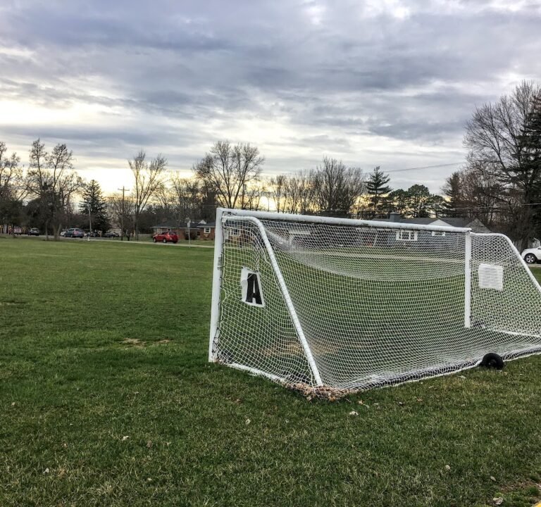 Soccer Field image 3