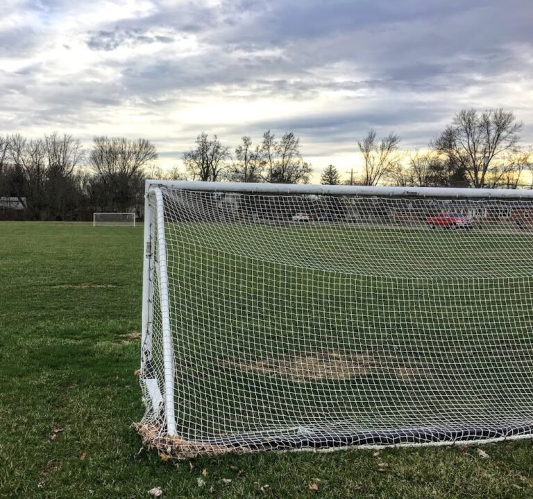 Soccer Field image 2