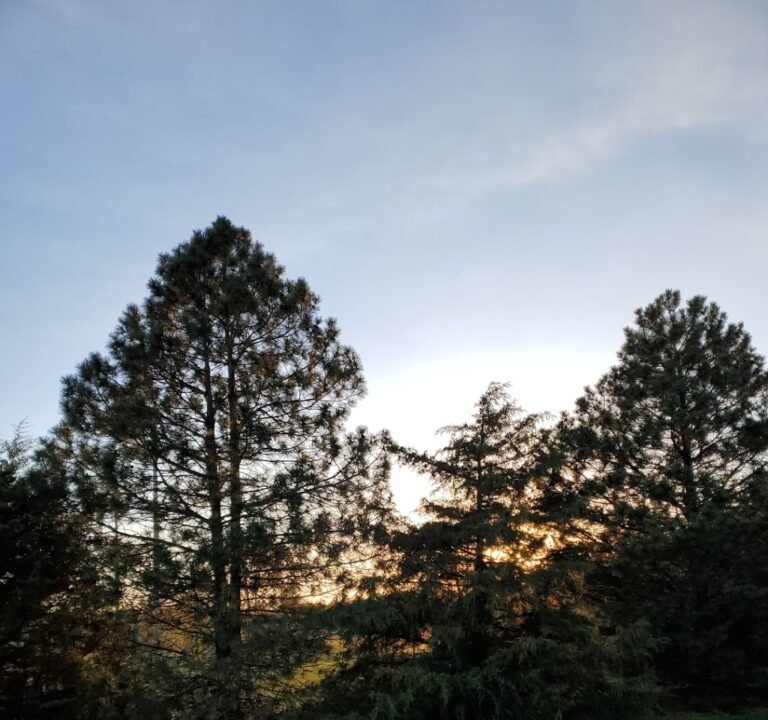 Soccer Field image 3